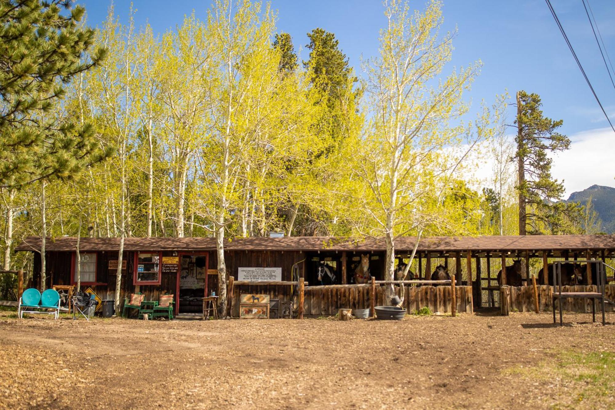 The Meeker Park Lodge Allenspark エクステリア 写真