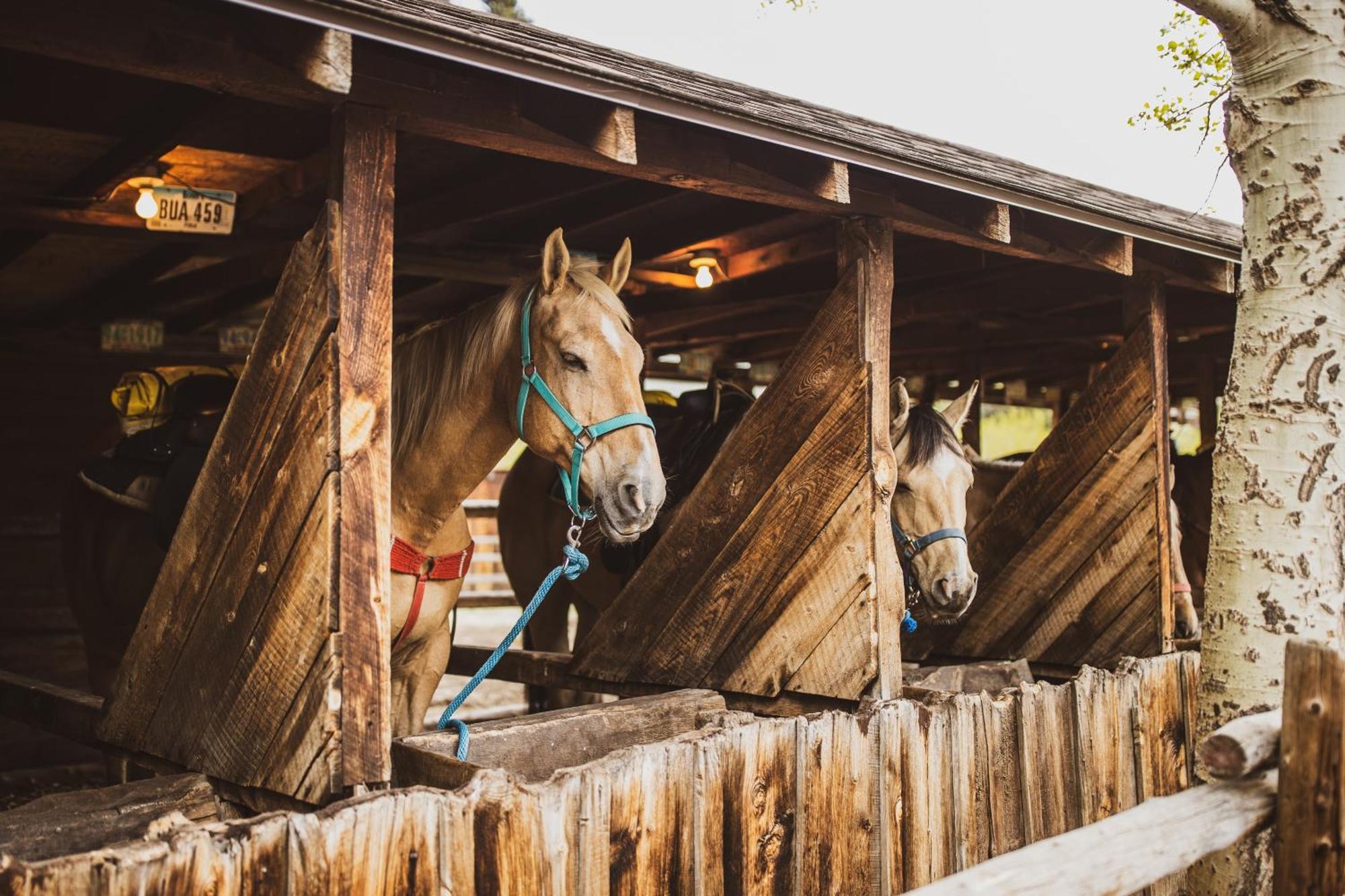The Meeker Park Lodge Allenspark エクステリア 写真