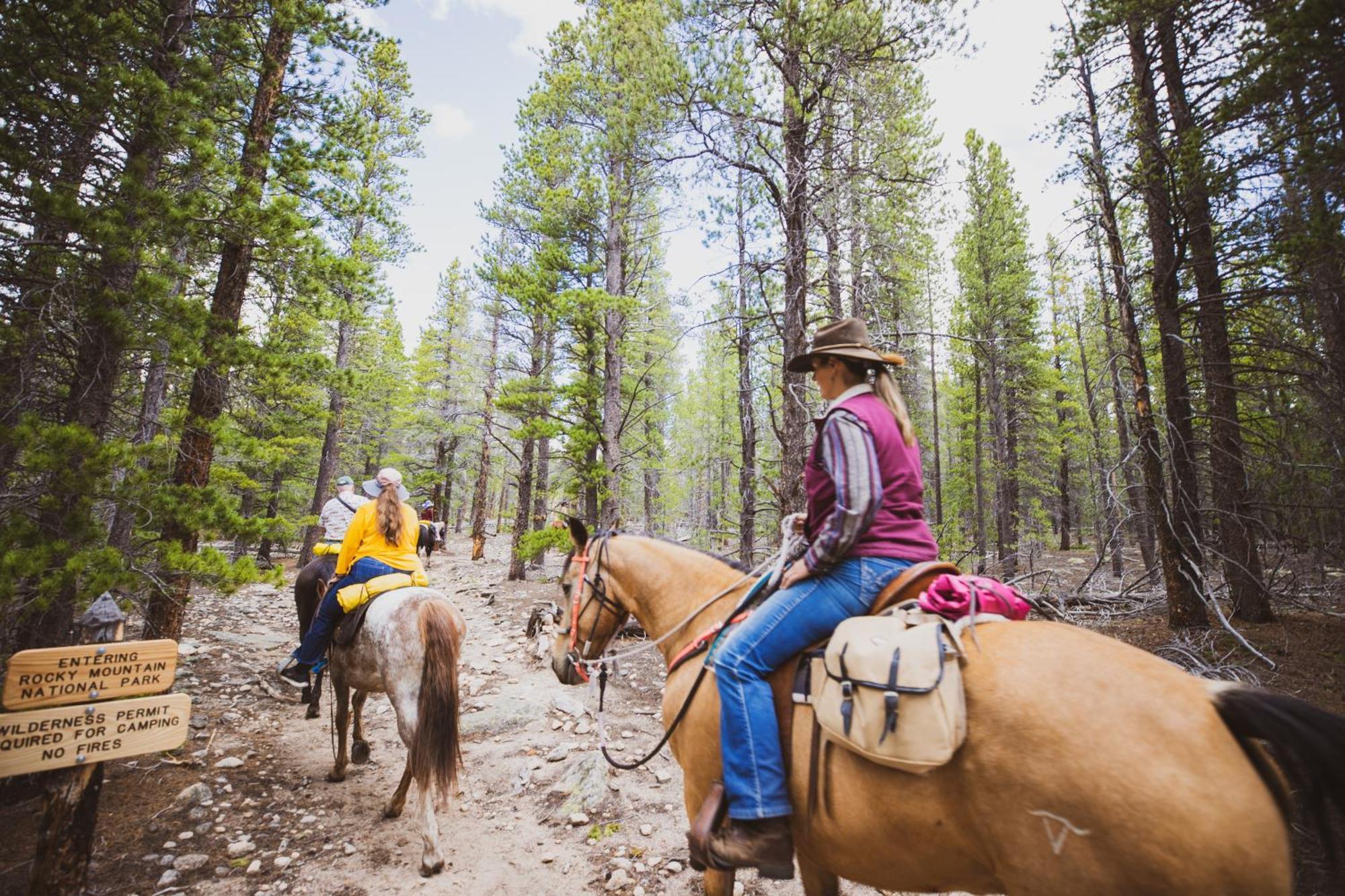 The Meeker Park Lodge Allenspark エクステリア 写真