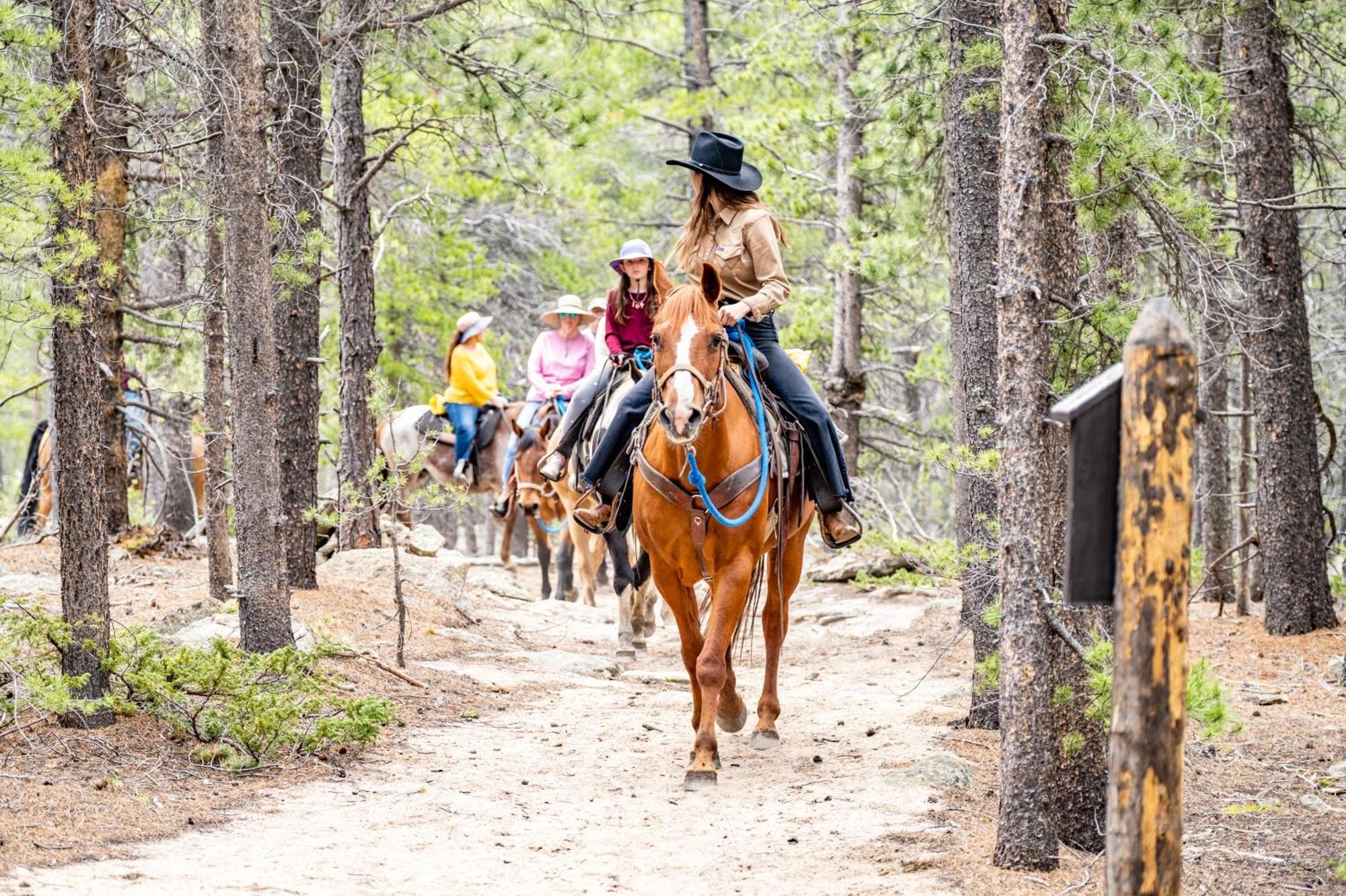 The Meeker Park Lodge Allenspark エクステリア 写真