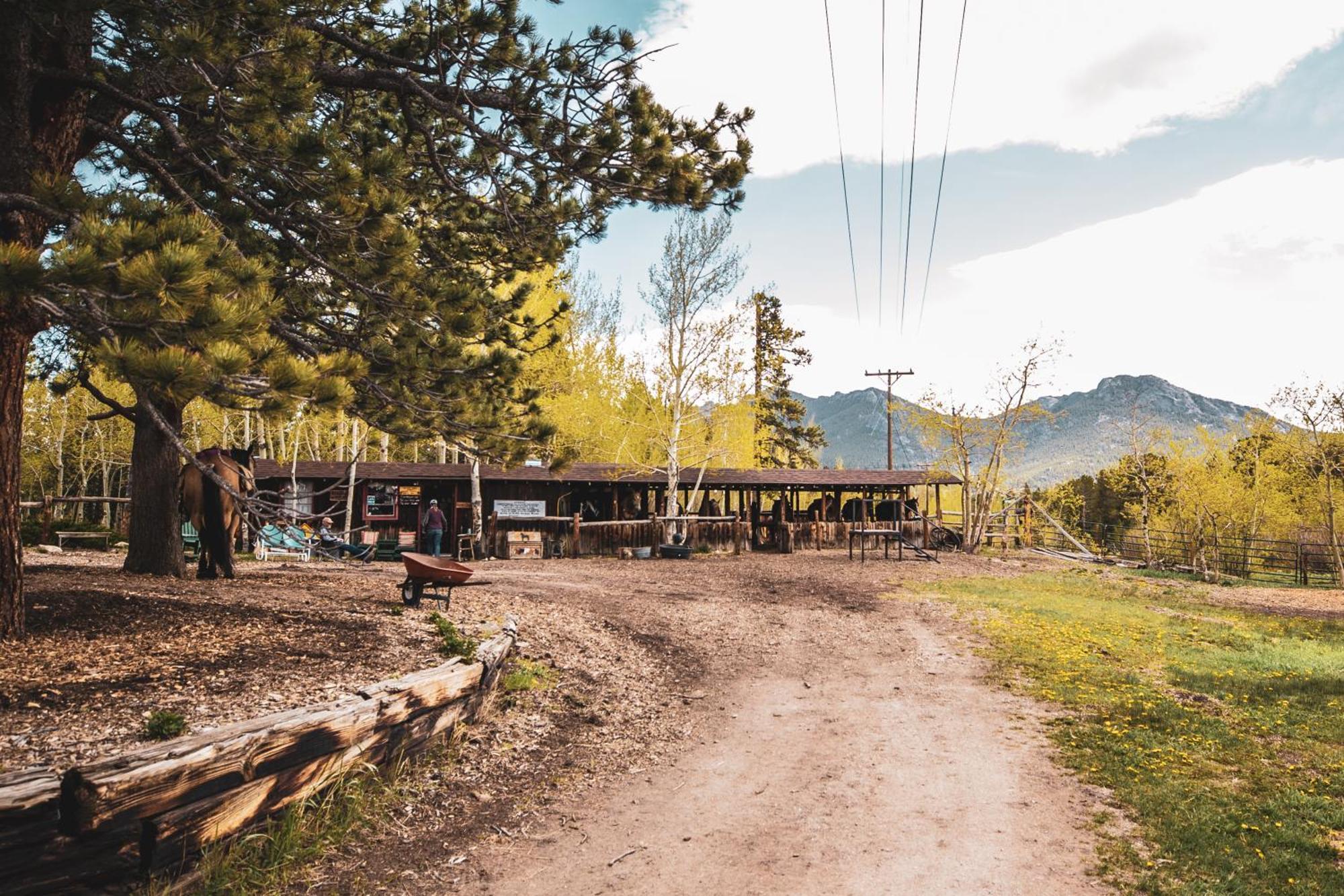 The Meeker Park Lodge Allenspark エクステリア 写真